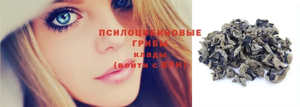 шишки Алексин